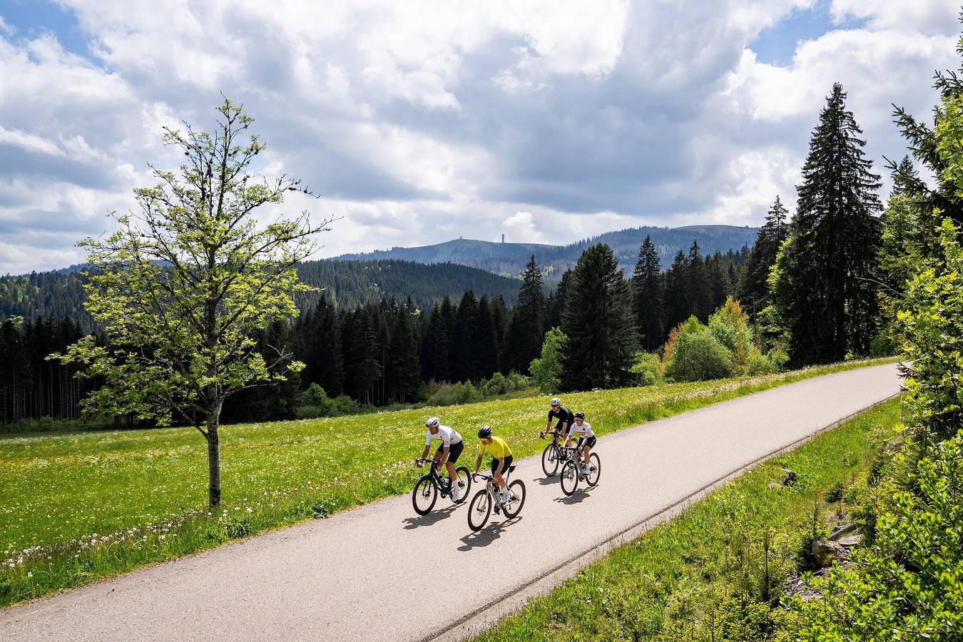 Ganze Wohnung, Ferienwohnung Schwarzwaldglück Loft St.Blasien im Schwarzwald mit Balkon und Wi-Fi in St. Blasien, Südschwarzwald