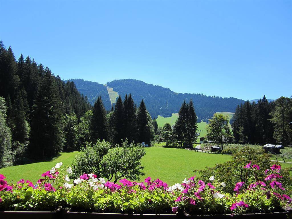Ganze Ferienwohnung, Ferienwohnung "Erdgeschoss" 2 Schlafräume in Ellmau, Kaisergebirge