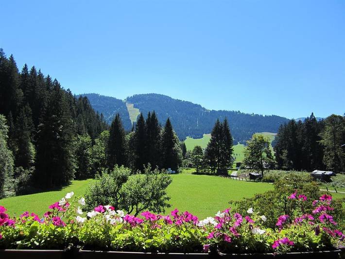 Ferienwohnung für 5 Personen, mit Terrasse und Garten in Ellmau - 3