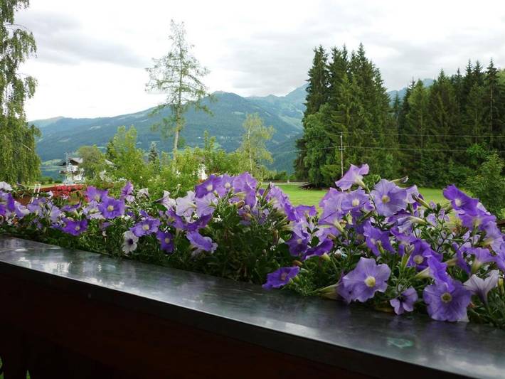 Ganze Ferienwohnung, Haus Harmonika - Ferienwohnung/1 Schlafraum/Dusche, Wc in Ramsau am Dachstein, Schladming-Dachstein