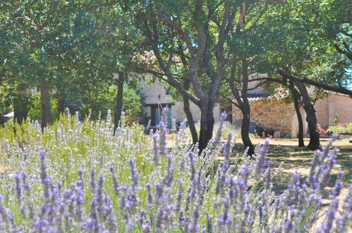 Location de vacances pour 6 personnes, avec piscine ainsi que vue et jardin à Quinson - 4