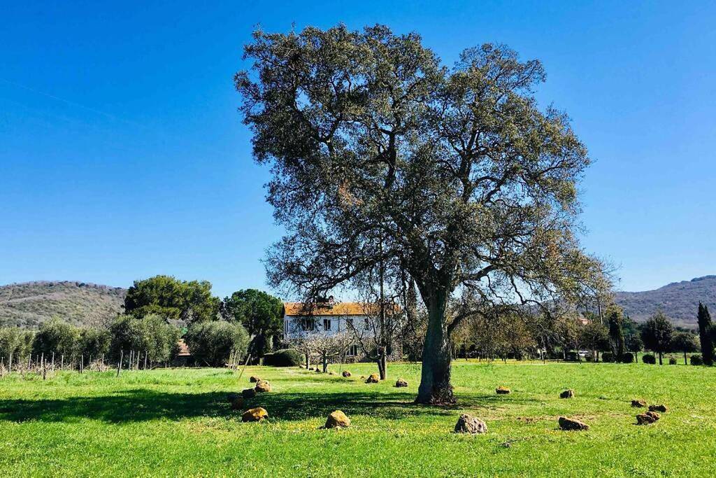 Superb Cottage in Tuscany's Maremma in Capalbio, Provincia di Grosseto