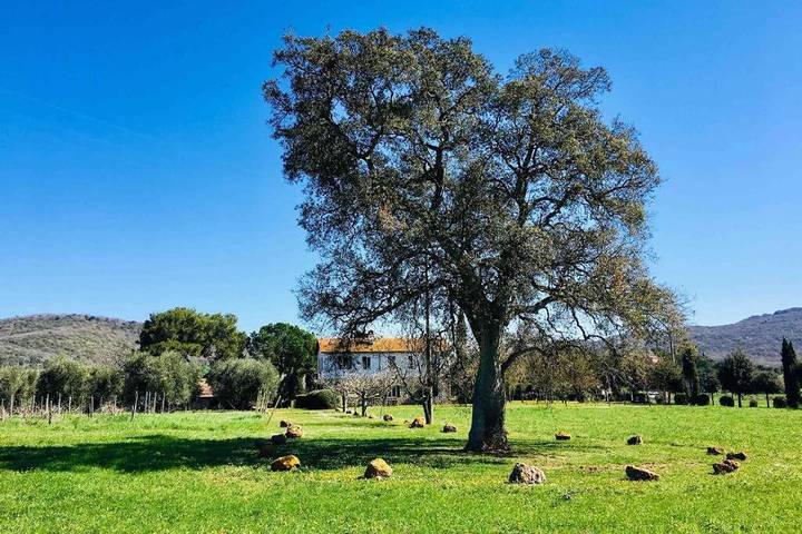 Villa per 10 persone, con panorama e giardino in Capalbio