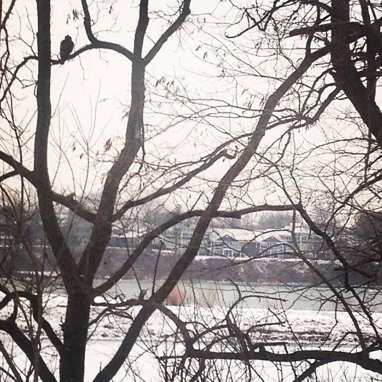 Ganze Wohnung, Herz von Niagaras Weinland in der berühmten Stadt Port Dalhousie in St. Catharines, Niagara Fälle