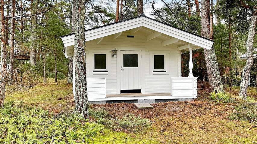 Ferienhaus für 9 Personen, mit Garten in Yngsjö - 4