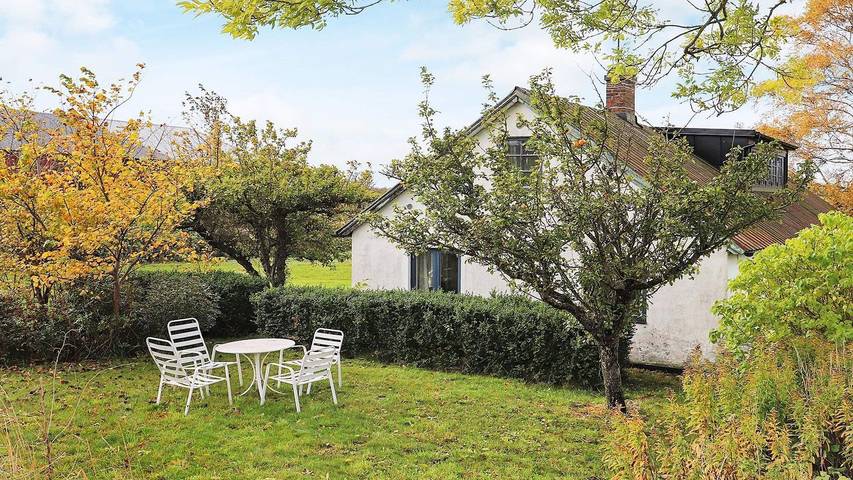Ferienhaus für 11 Personen, mit Terrasse in Skane - 4
