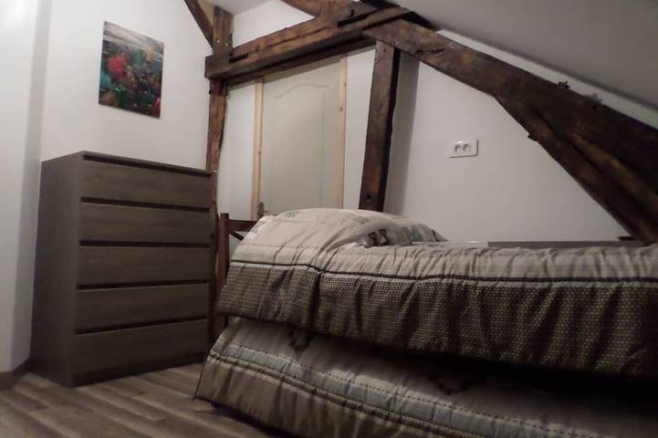 Solognote renoviertes Haus für 4 Personen eingerichtet in La Ferté-Saint-Aubin, Sologne