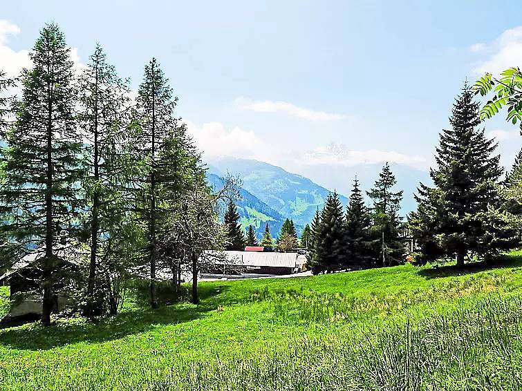 Appartement entier, 1 Pièce 2 Personnes in Gryon, Alpes Vaudoises