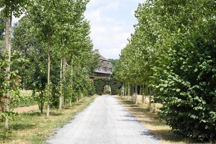 Chambre d’hôte pour 3 personnes, avec Terrasse ainsi que Jardin et Vue à Wavre