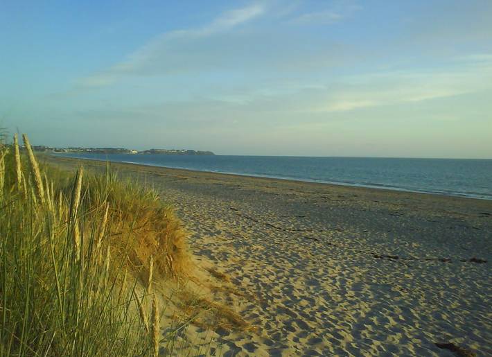 Chambre d’hôte pour 2 personnes, avec jardin, animaux acceptés dans la Manche - 4
