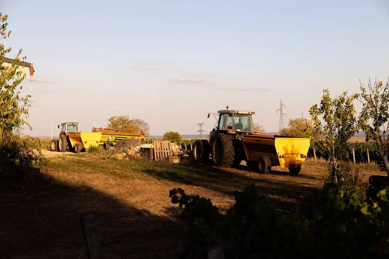 Ganze Wohnung, Tiny House Cave Nerot in den Weinbergen in der Nähe von Sancerre in Saint-Père (Nièvre), Loire-Tal