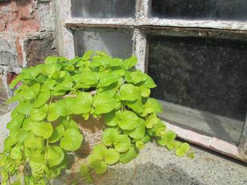 Ferienhaus für 5 Personen in Astert, Westerwald, Bild 1