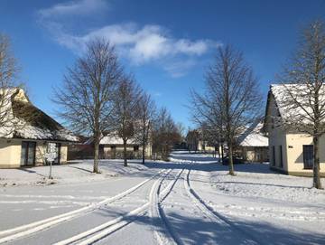 Ferienpark für 6 Personen in Dobbin-Linstow, Mecklenburgische Seenplatte, Bild 4