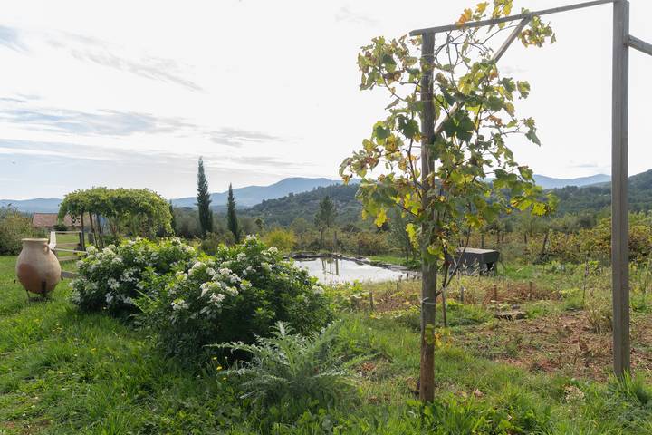 Ferienhaus für 4 Personen in der Ardèche - 3
