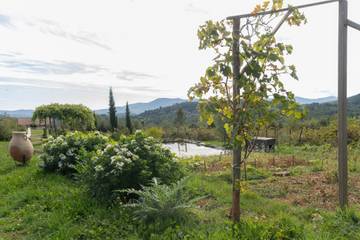 Location De Vacances pour 4 Personnes dans Payzac (Ardèche), Parc national des Cévennes, Photo 2
