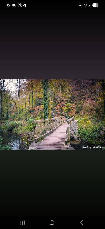 Location de vacances pour 6 personnes, avec vue ainsi que sauna et terrasse à Waldbillig - 4