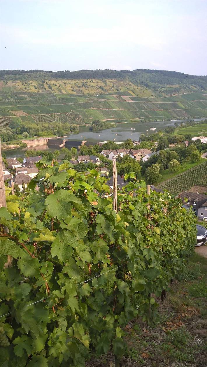 Ferienwohnung für 3 Personen an der Mosel - 4