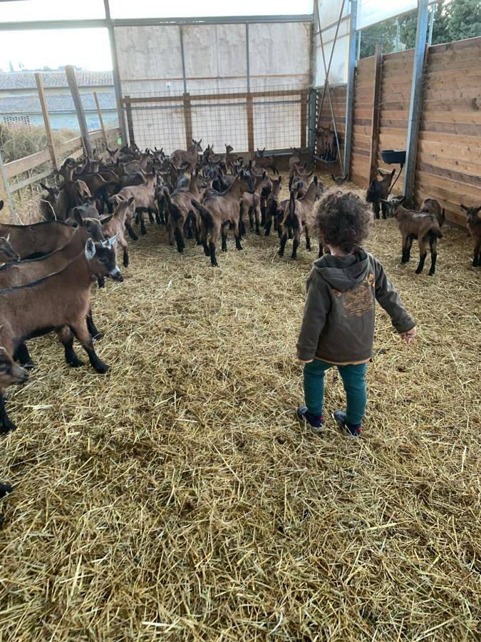 Chambre d’hôte pour 2 personnes, avec vue et jardin en Toscane - 3
