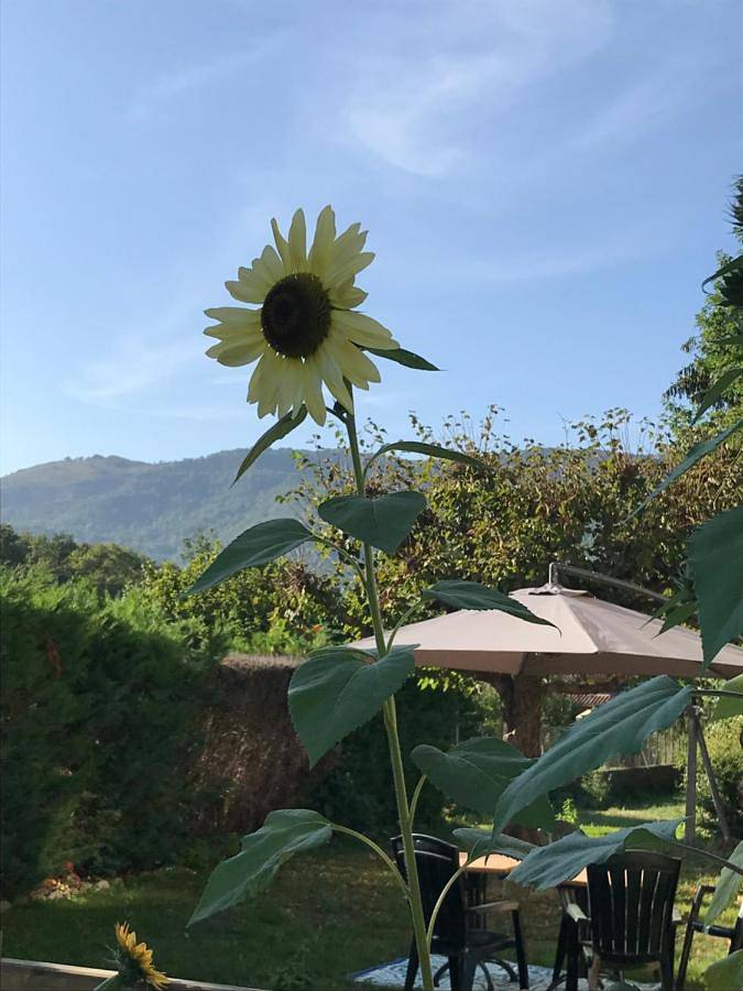 Gîte pour 4 personnes, avec jardin et vue à Saléchan - 4