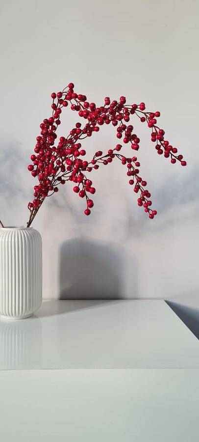 Gîte pour 4 personnes, avec balcon et vue à Sora - 4