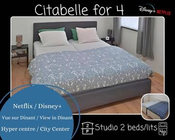 Chambre d’hôte pour 4 personnes, avec vue à Dinant
