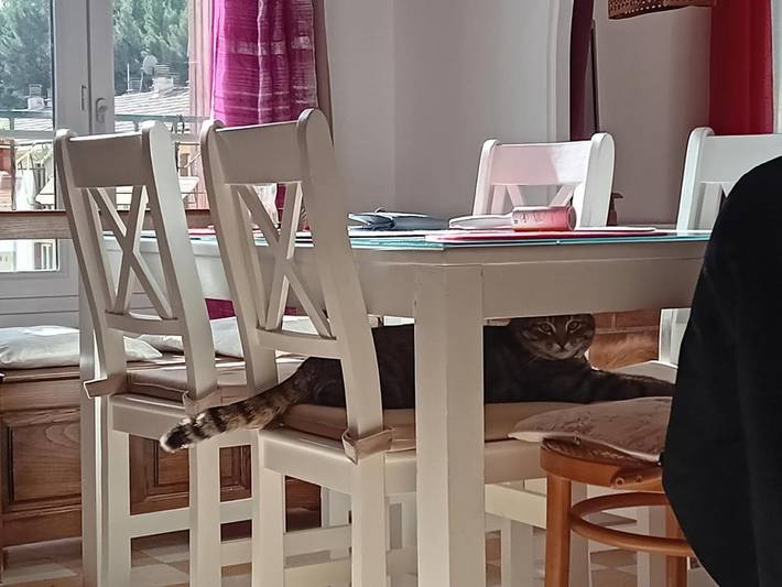 Apartamento de vacaciones para 8 personas, con balcón y vistas - 1