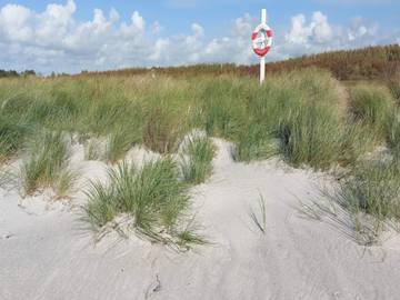 Hus för 6 Personer i Bredfjed, Rødby, Bild 3