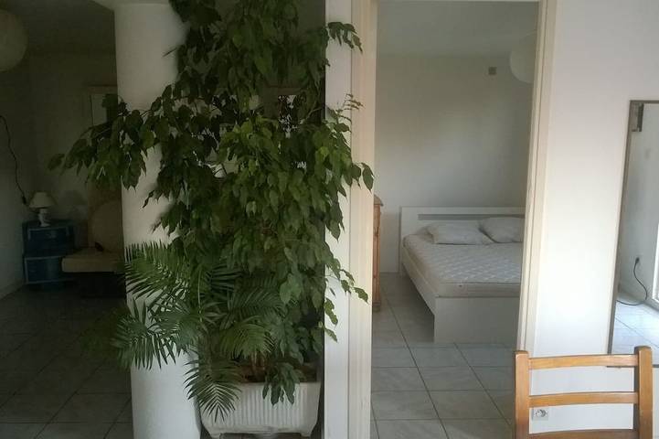 Location de vacances pour 2 personnes, avec terrasse et jardin à Afa - 2