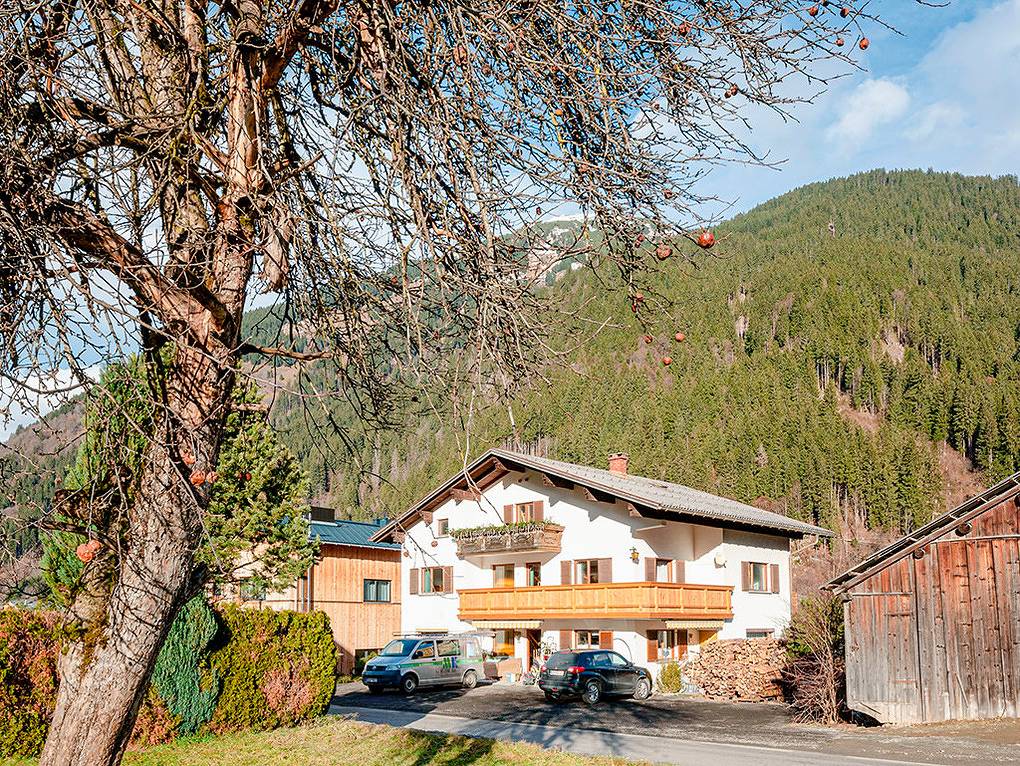 Ferienhaus "Das Liebling" in Sankt Gallenkirch (Stadt), Sankt Gallenkirch