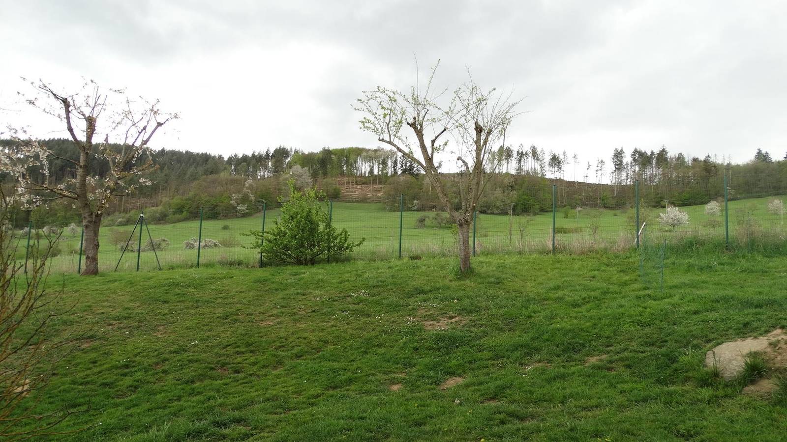 Ganze Ferienwohnung, Appartement/Fewo, Dusche, Wc, 1 Schlafraum in Hausen (Wied), Rheinland-Pfalz