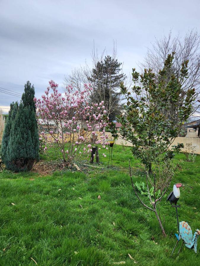 Location de vacances pour 9 personnes, avec jardin, animaux acceptés à Saint-Amour - 2