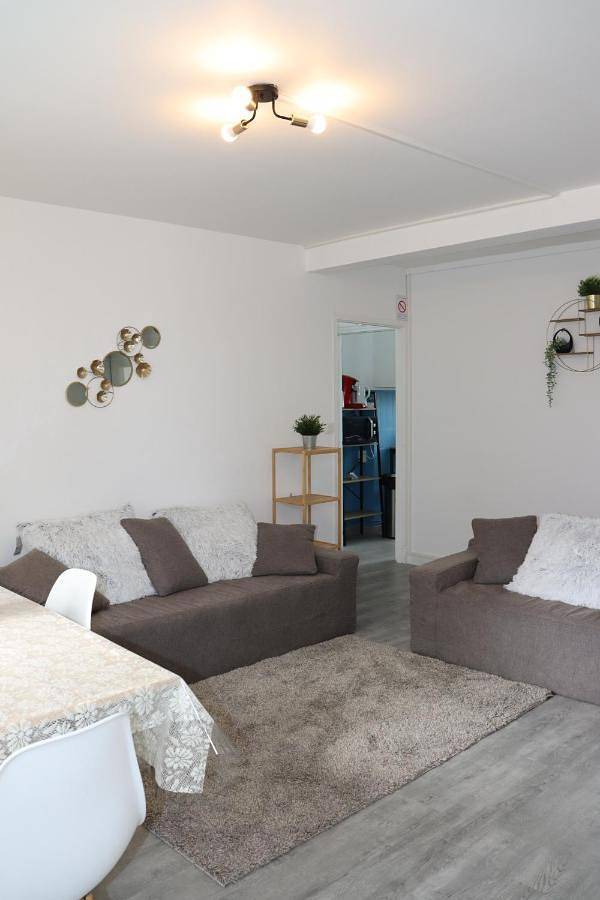 Appartement entier, Les Erables Appart - 3 chambres - Spacieux et moderne avec balcon, parking et wifi in Saint-Jean-de-la-Ruelle, Vallée de la Loire