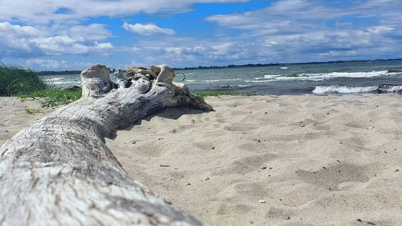 Ferienhaus für 7 Personen (75 m²) in Korsør in Korsør, Slagelse und Umgebung