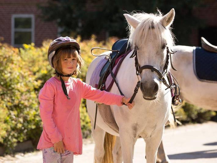 Ferienhaus für 5 Personen, mit Terrasse und Garten, kinderfreundlich in Landkreis Heidekreis - 2