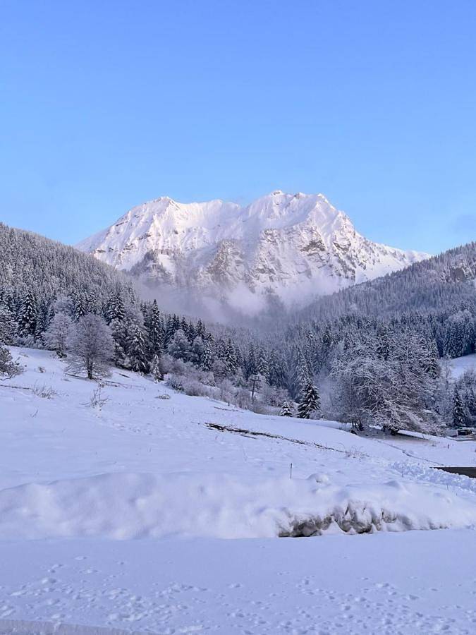 Gîte pour 4 personnes, avec terrasse et vue, animaux acceptés à Bellevaux - 3
