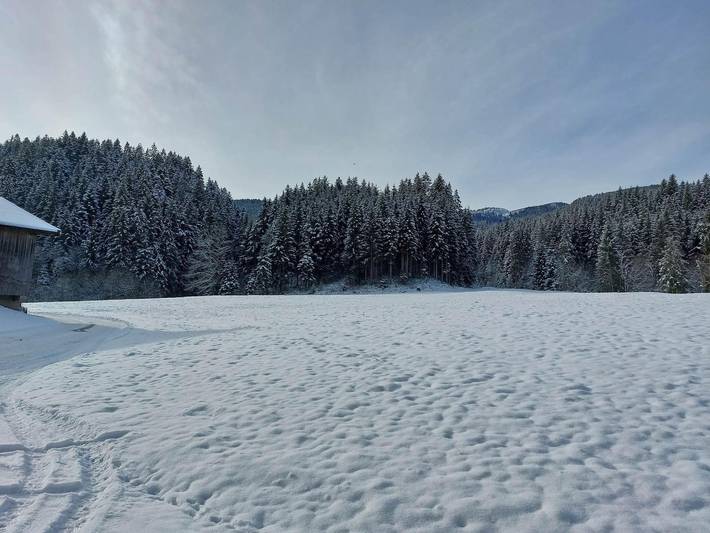 Ferienhaus für 14 Personen, mit Garten und Balkon, kinderfreundlich in Wildschönau - 3