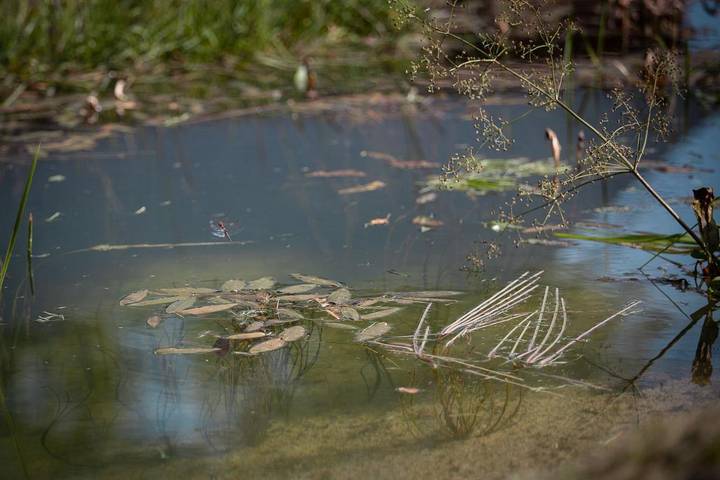 Gîte pour 4 personnes, avec terrasse dans Vencimont - 4
