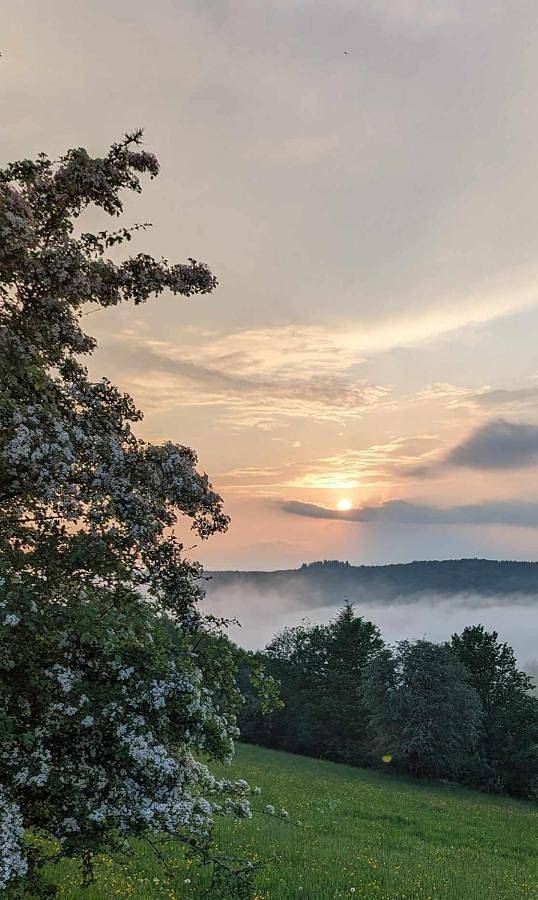 Location de vacances pour 6 personnes, avec balcon, animaux acceptés à Bouillon - 2