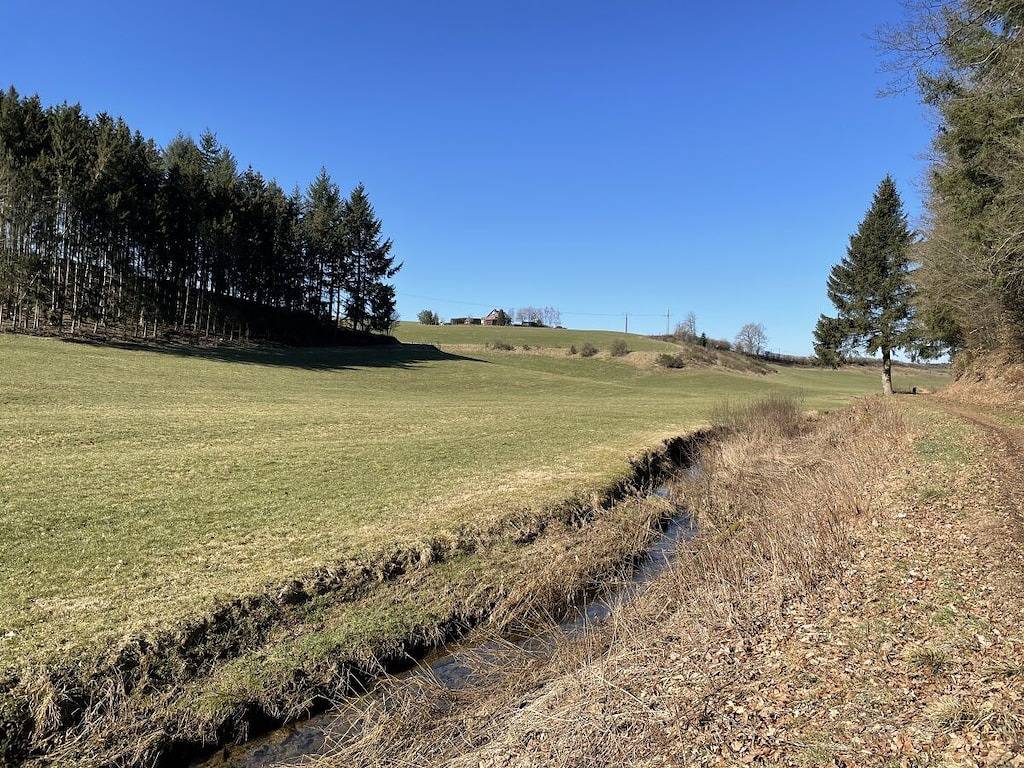 An den 5 Birken in Mützenich, Naturpark Hohes Venn-Eifel