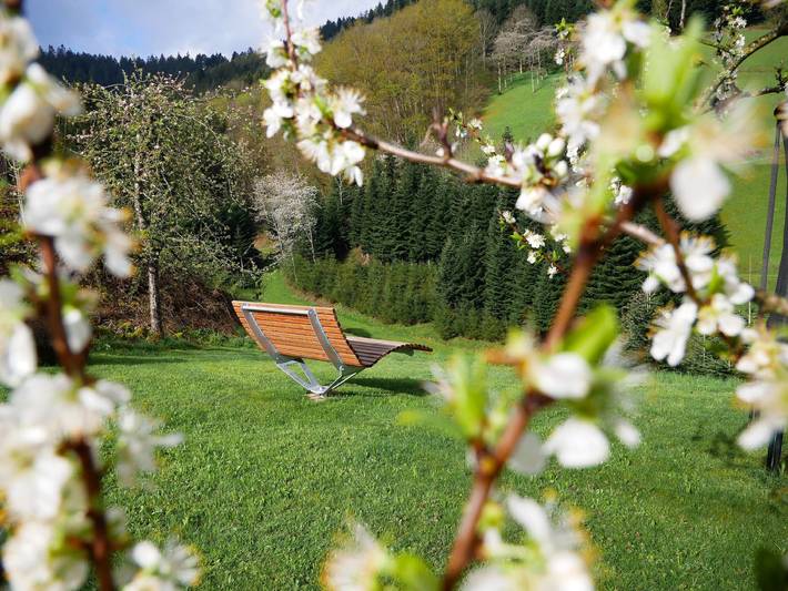 Ferienwohnung für 4 Personen, mit Balkon und Garten in Bad Peterstal-Griesbach - 3