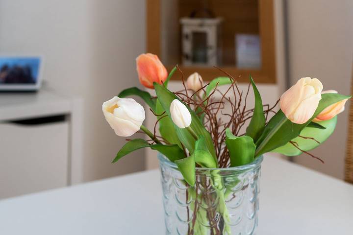 Ferienhaus für 6 Personen, mit Sauna und Garten in Neßmersiel - 4