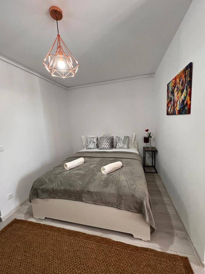Chambre d’hôte pour 2 personnes, avec terrasse à Bucarest - 4