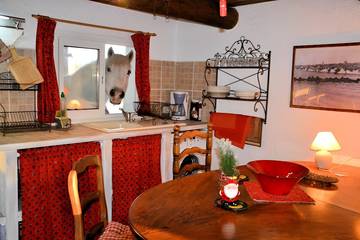 Gîte pour 4 personnes, avec terrasse et jardin, animaux acceptés dans Parc ornithologique du Pont de Gau