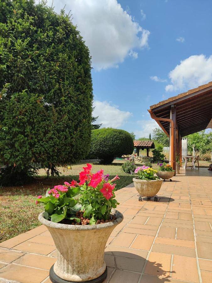 Location de vacances pour 2 personnes, avec jardin ainsi que terrasse et vue à Blanquefort - 4