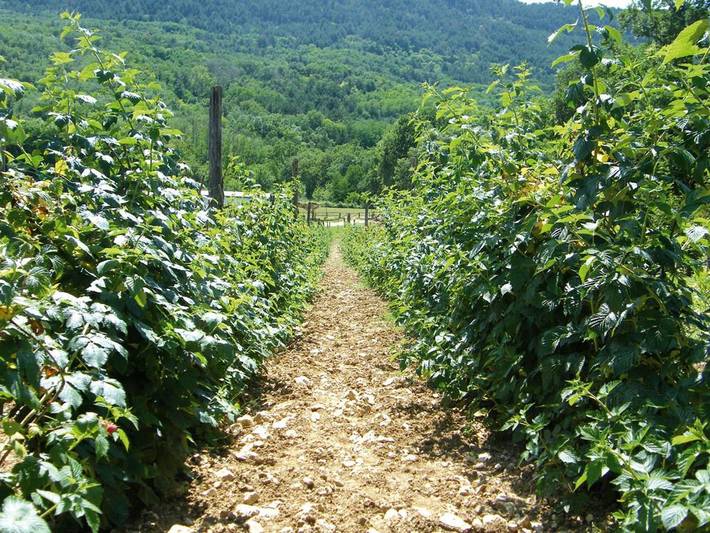 Gîte pour 4 personnes, avec vue et jardin, adapté aux familles à L'Aquila - 4
