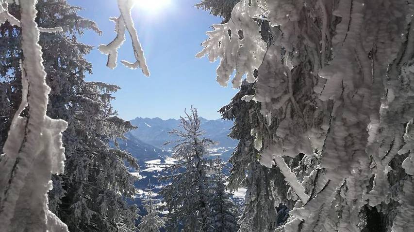 Ferienwohnung für 4 Personen, mit Garten, mit Haustier in Ofterschwang - 4