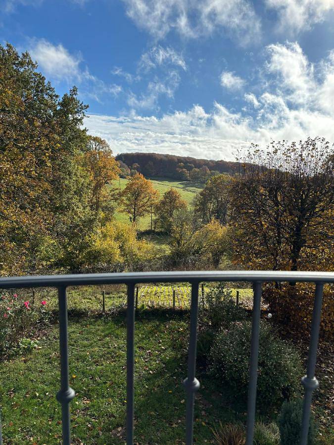 Location de vacances pour 13 personnes, avec vue et jardin, animaux acceptés à Salles-Curan - 4