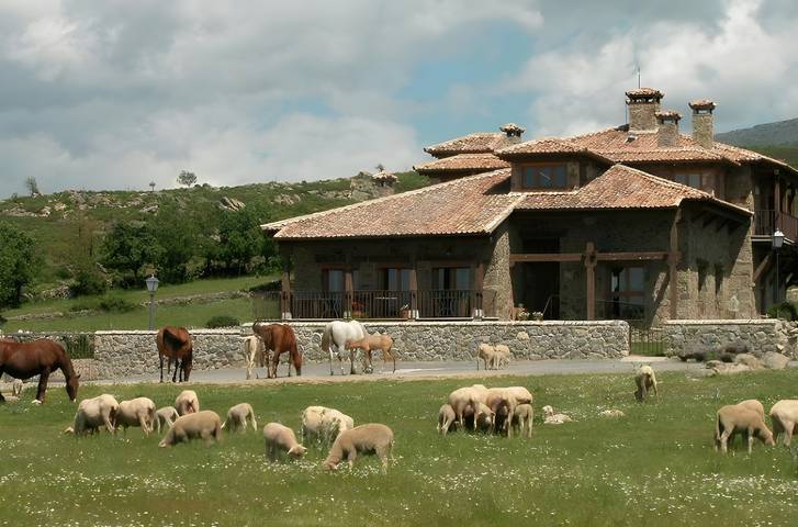 Casa rural para 15 personas, con jardín y balcón, Se admiten mascotas en Comarca de Sepúlveda - 4