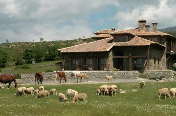 Casa Rural Con Piscina para 15 Personas en Gallegos , Provincia de Segovia, Foto 3