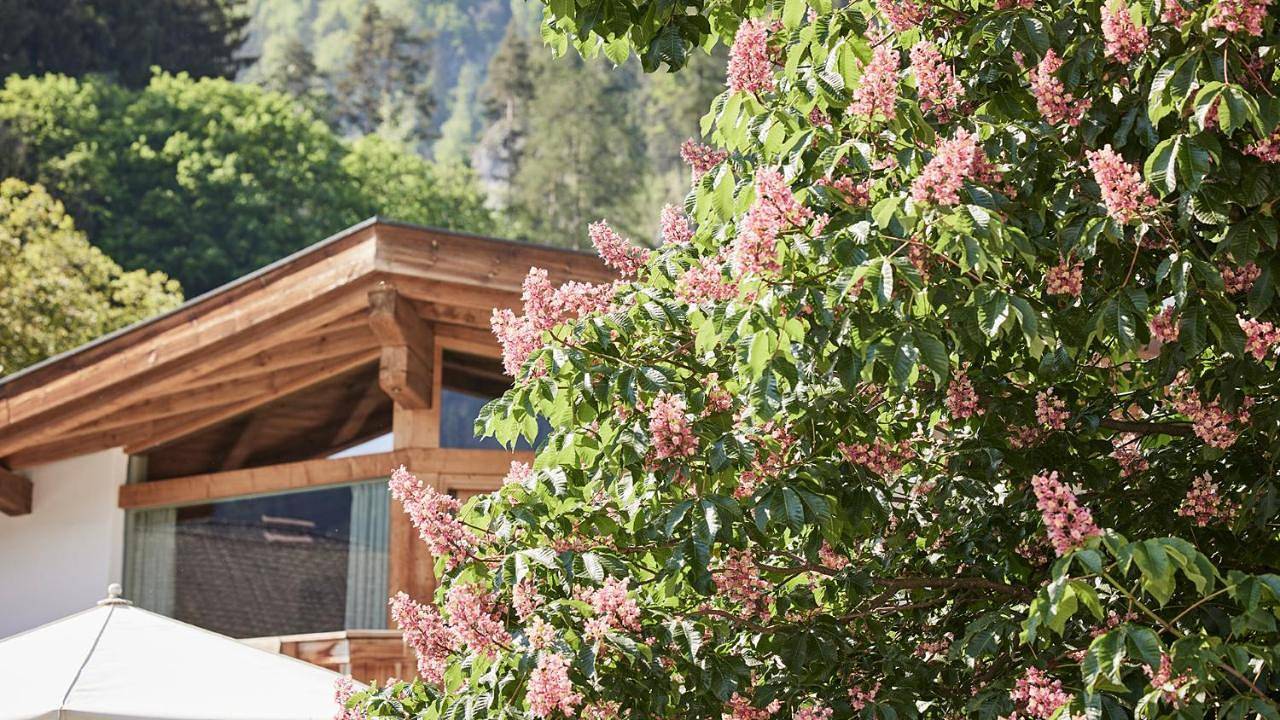 Der Brandstetterhof - Adults only in Stans, Bezirk Schwaz